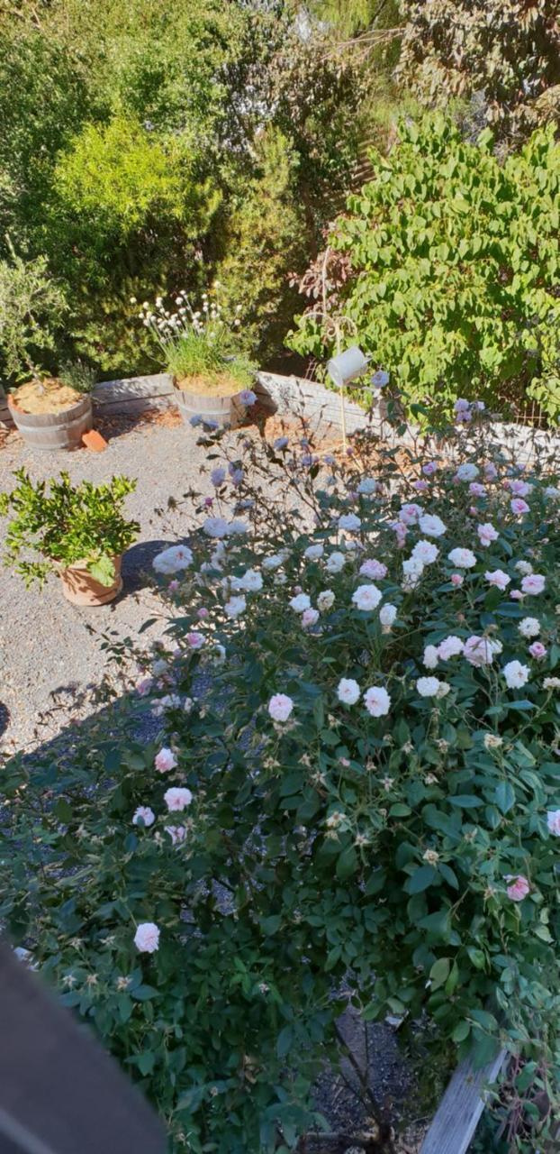 Astley Cottage ديلسفورد المظهر الخارجي الصورة